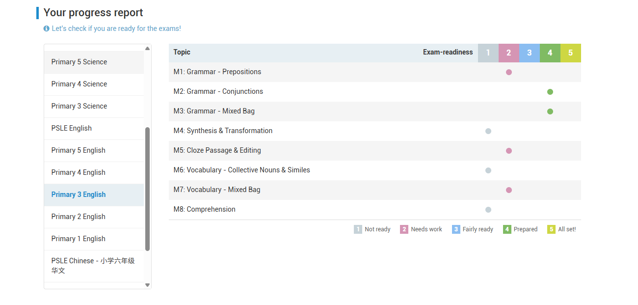 Primary 3 English topic progress report
